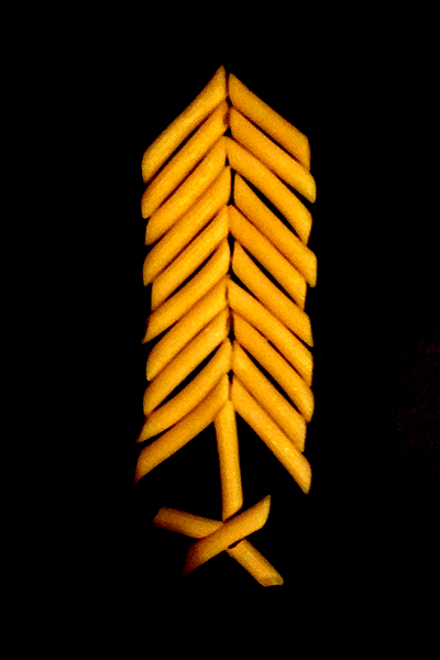 cl_20161208_hab_westworld