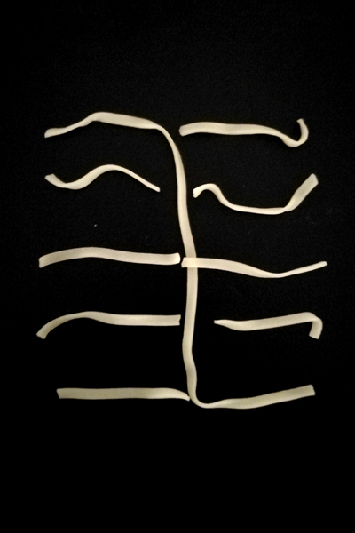 cl_20171022_hab_mitrechtenlesen