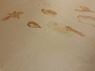 twitterweek_conceptinformationpoiesis