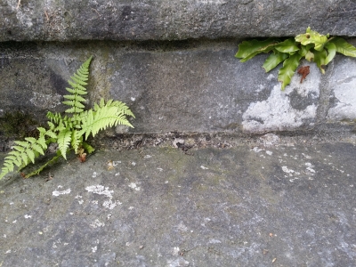 twitterweek_erwartungsontik